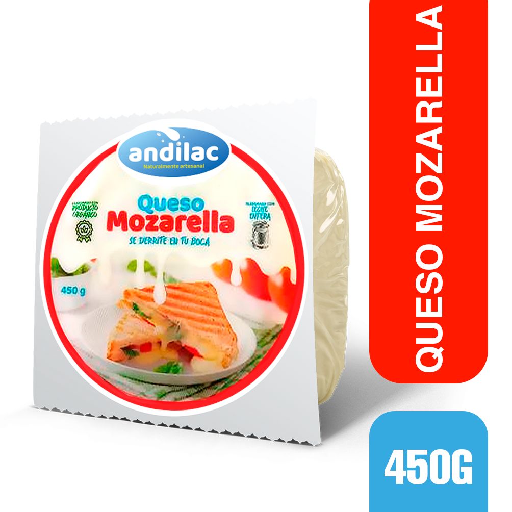 QUESO MOZARELLA ANDILAC 450G