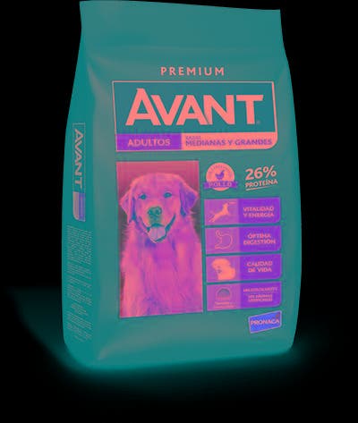COMIDA DE PERRO ADULTO MEDIANA Y GRANDES