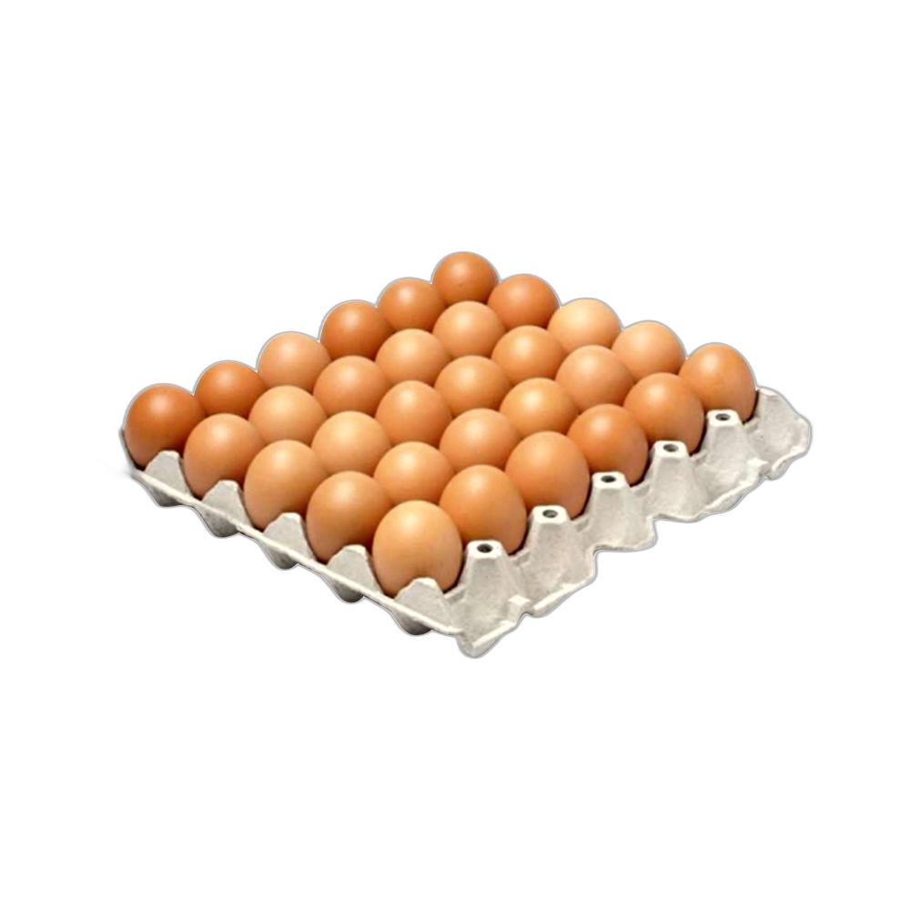 HUEVOS DE CAMPO MEDIANO X30 UNI