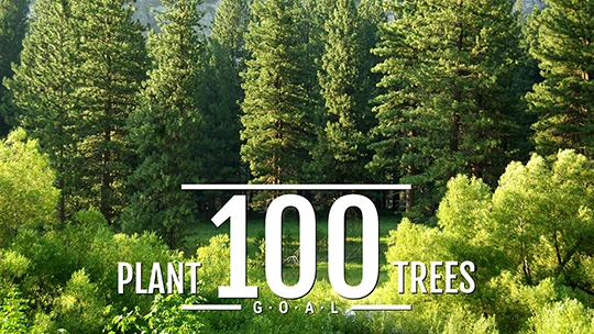 Plant a hundred trees