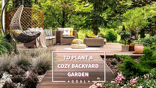 To plant a cozy backyard garden