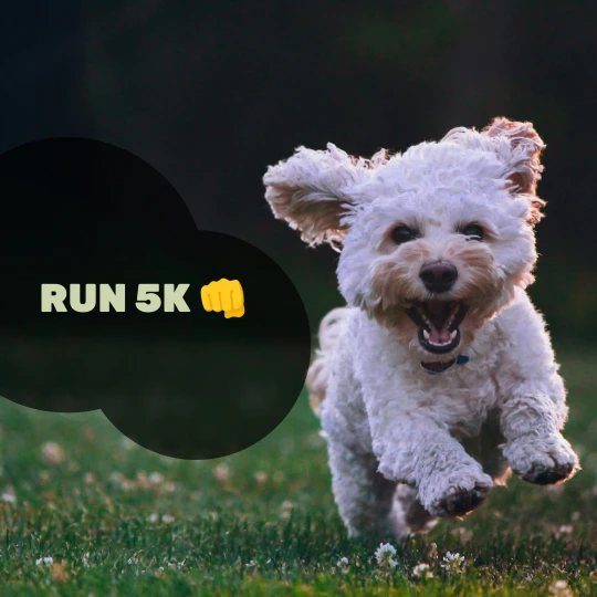 I wanna train myself to run a 5k🏃‍♂️