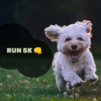 I wanna train myself to run a 5k🏃‍♂️