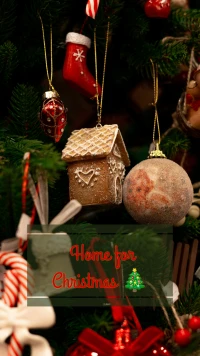 Make it home for Christmas🎄🎅🔔❄