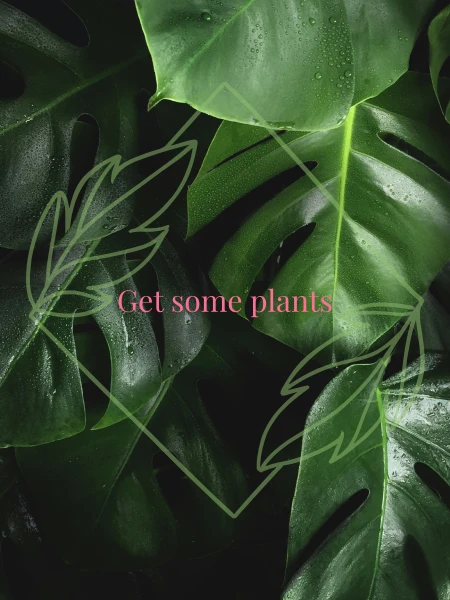 Get some plants🌱