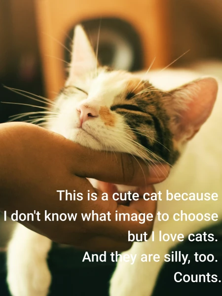 Cross out one thing from every day's to-do list and make it the silliest