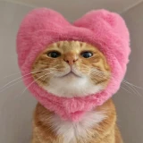 Meredith