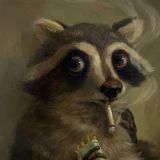 lovelyracoon
