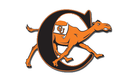 Cincinnati Recap Logo