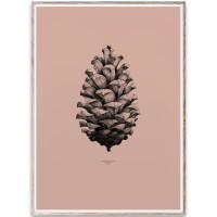 Pine Cone poster 50x70 komodo rosa