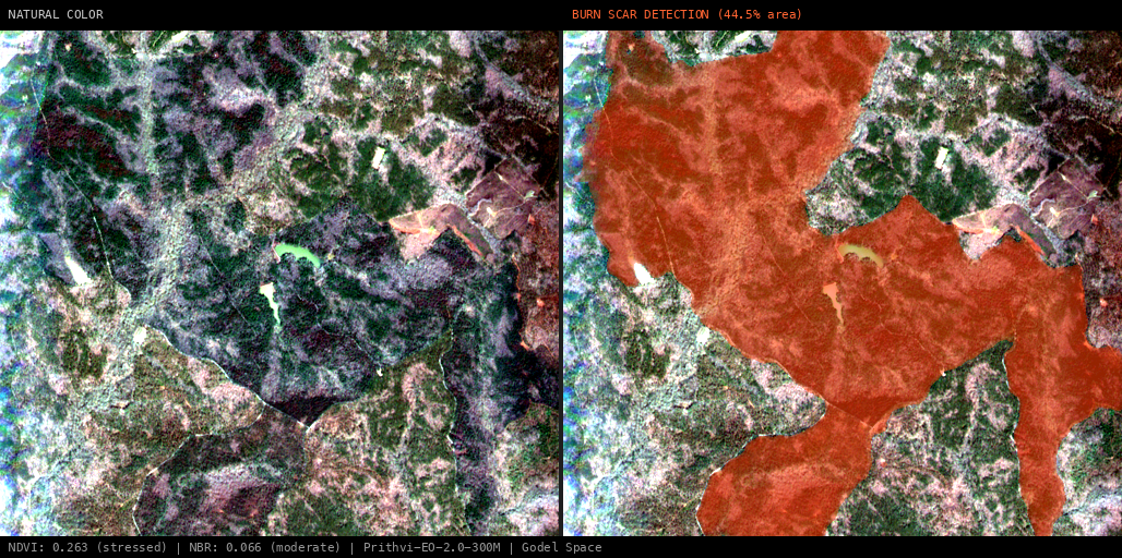 ML analysis for 11A/11B/11C RX Prescribed Fire, Jasper, Georgia