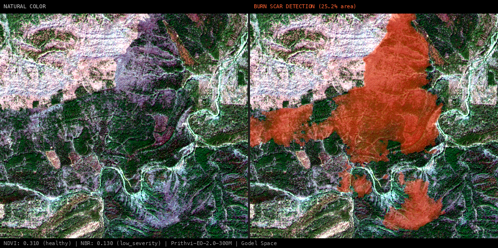 ML analysis for RX PCS White Oak Prescribed Fire, Scott, Arkansas