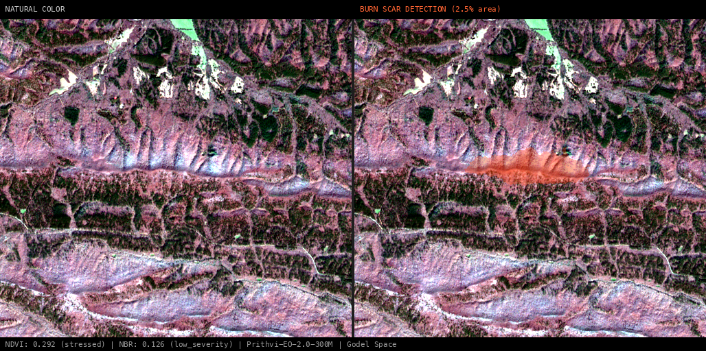 ML analysis for RX Little Missouri Mountain Prescribed Fire, Polk, Arkansas