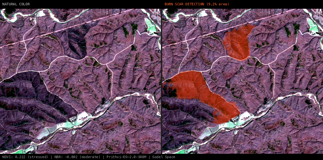 ML analysis for Butcher Hollow Block 1 RX Prescribed Fire, Reynolds, Missouri