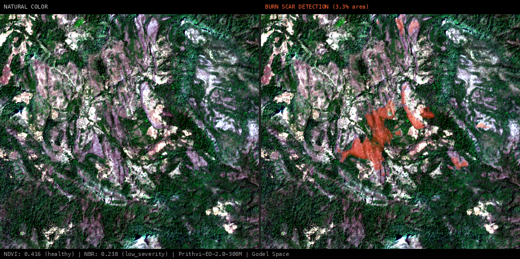 ML analysis for Active Fire Complex (27 detections, 310 MW FRP)