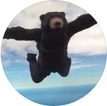 Air Bears - Skydiving Club at Berkeley