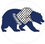 Bears for Palestine