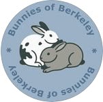 Bunnies of Berkeley