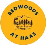 Redwoods at Haas