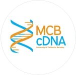 Molecular and Cell Biology Cell Developmental Neurobiological Association
