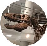 Paleontological Society of Berkeley