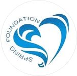 Spring Foundation