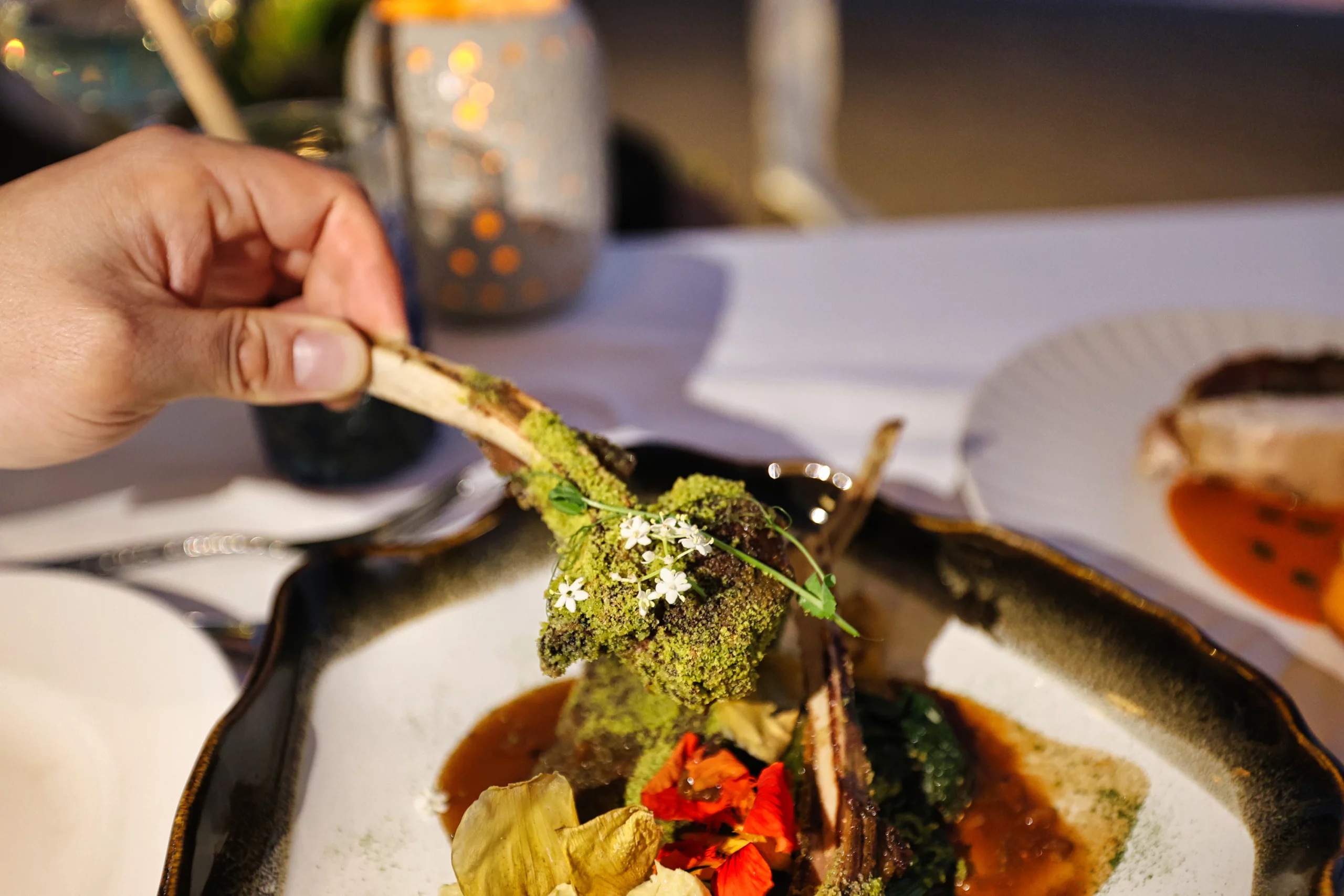 Gourmet lamb chops with artistic plating
