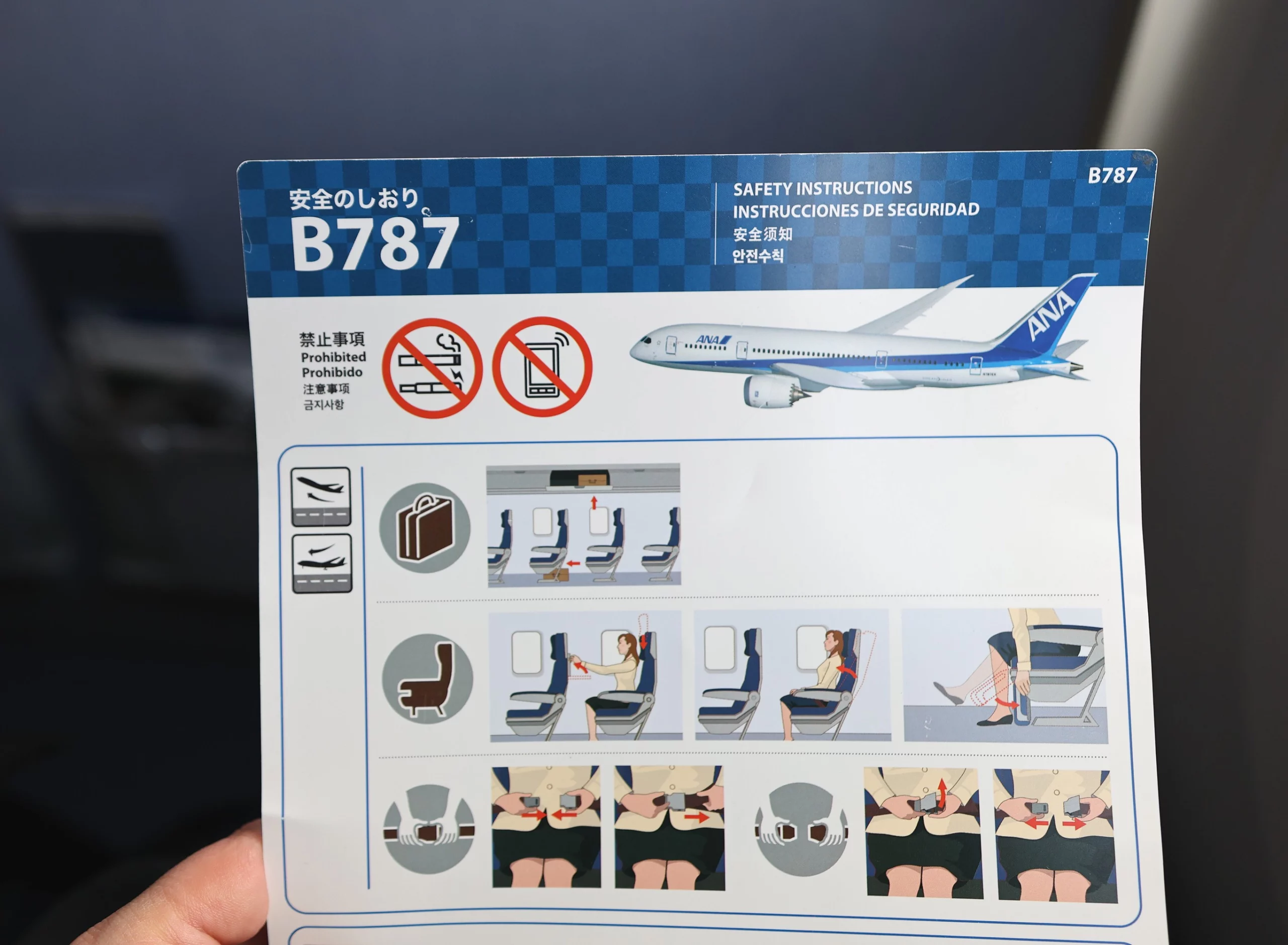ANA seatback view