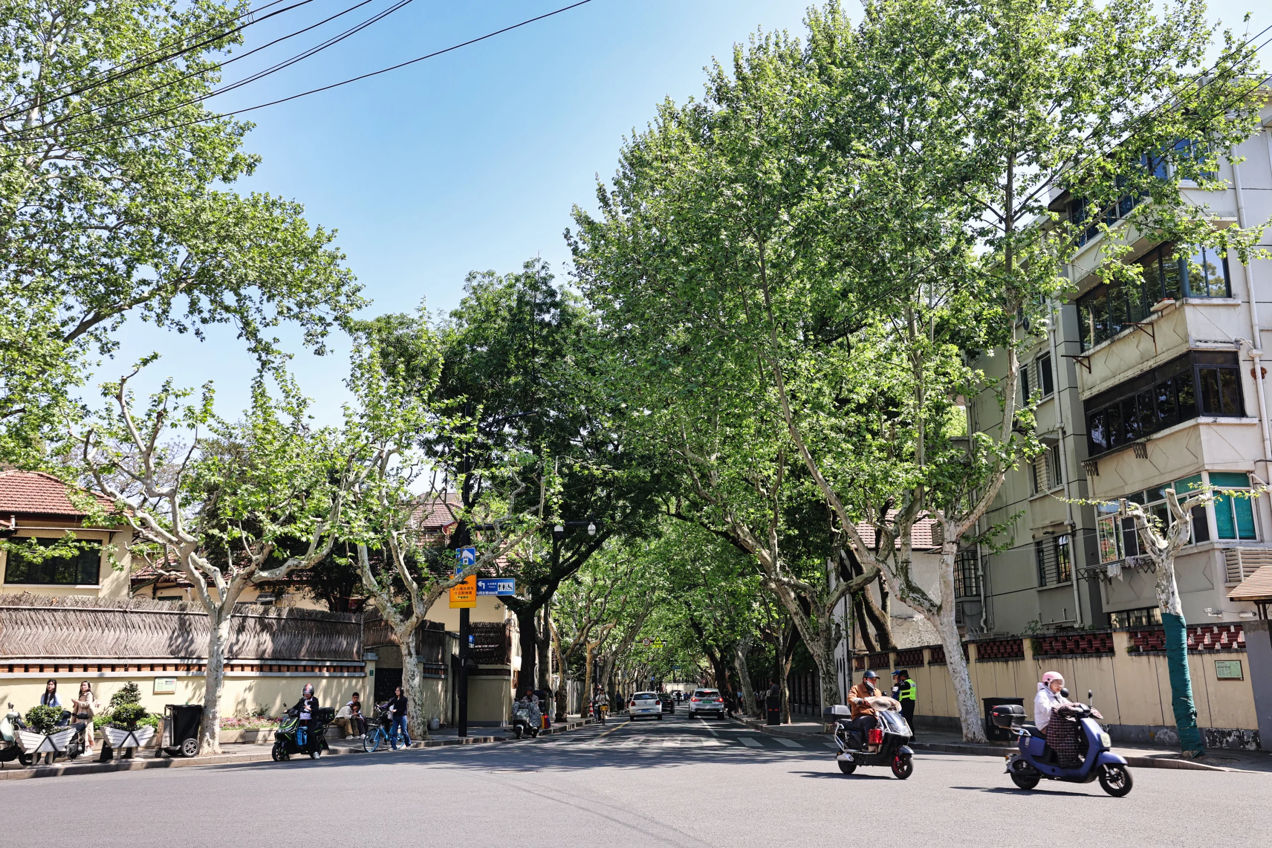 Exploring the neighborhood around the Shanghai cafe