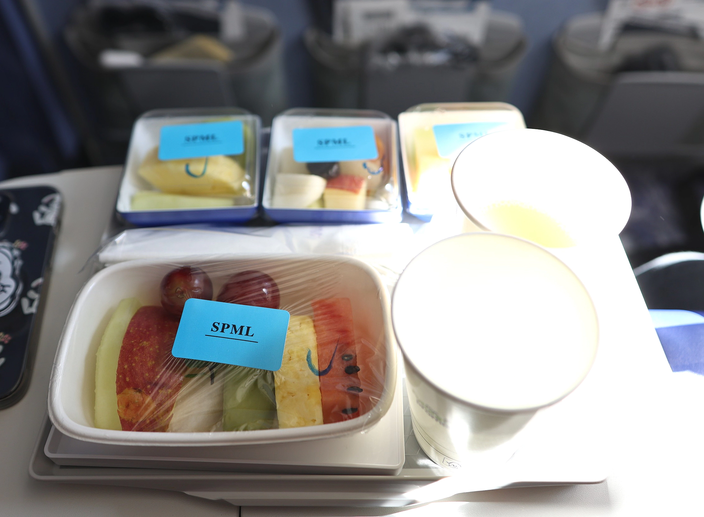 ANA economy seafood meal