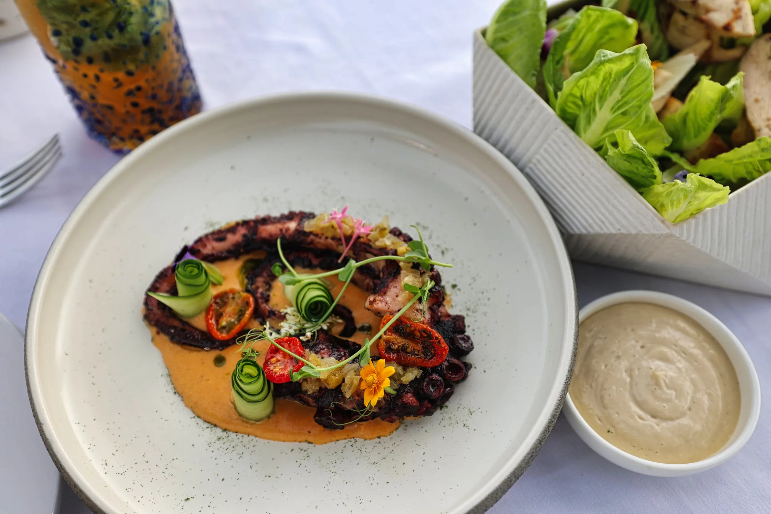 Grilled octopus appetizer with delicate presentation