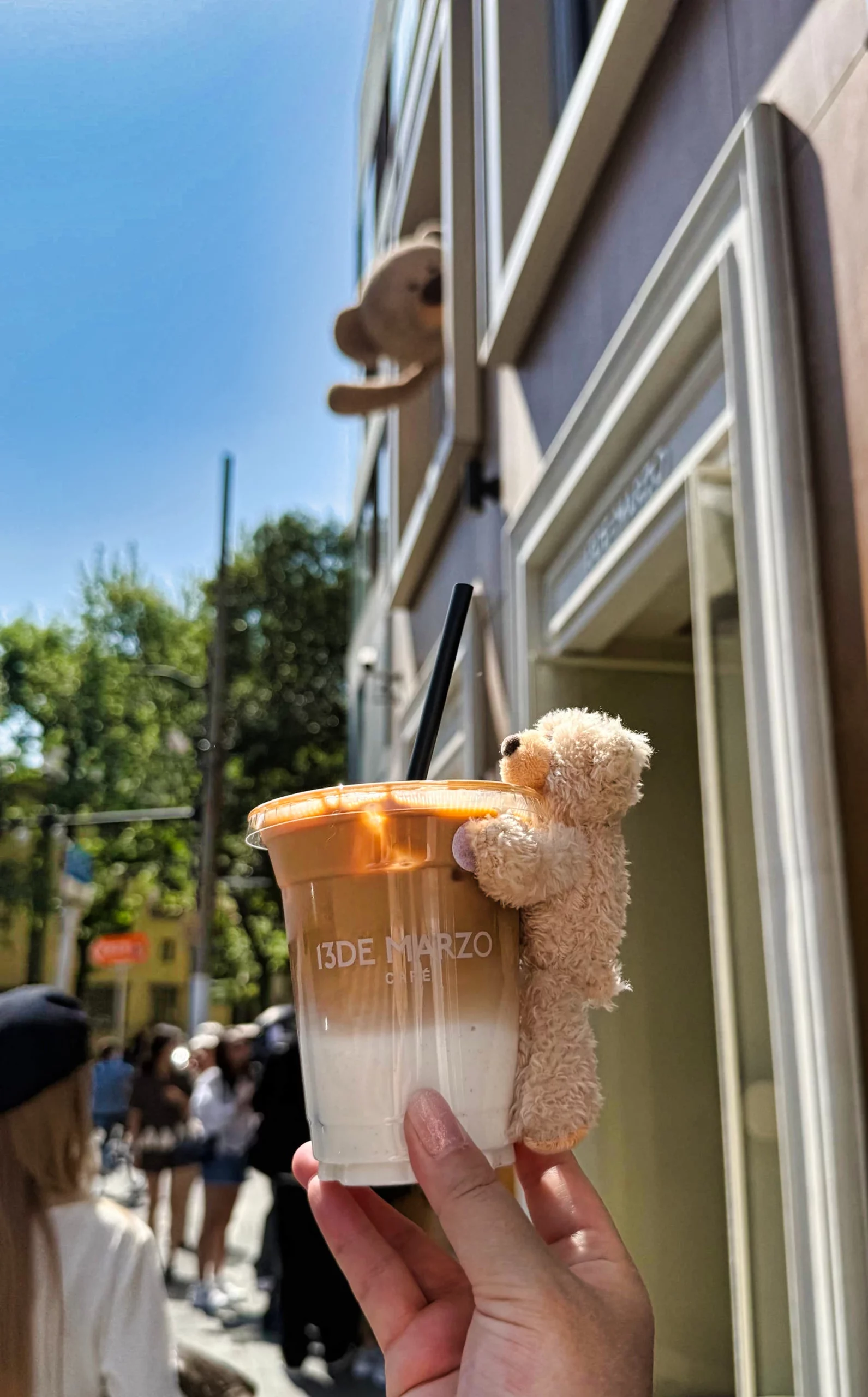 13DE MARZO signature bear doll on drinks