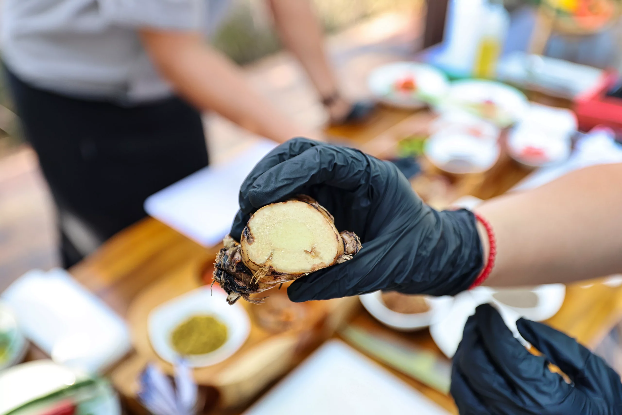 Learning about Balinese ingredients