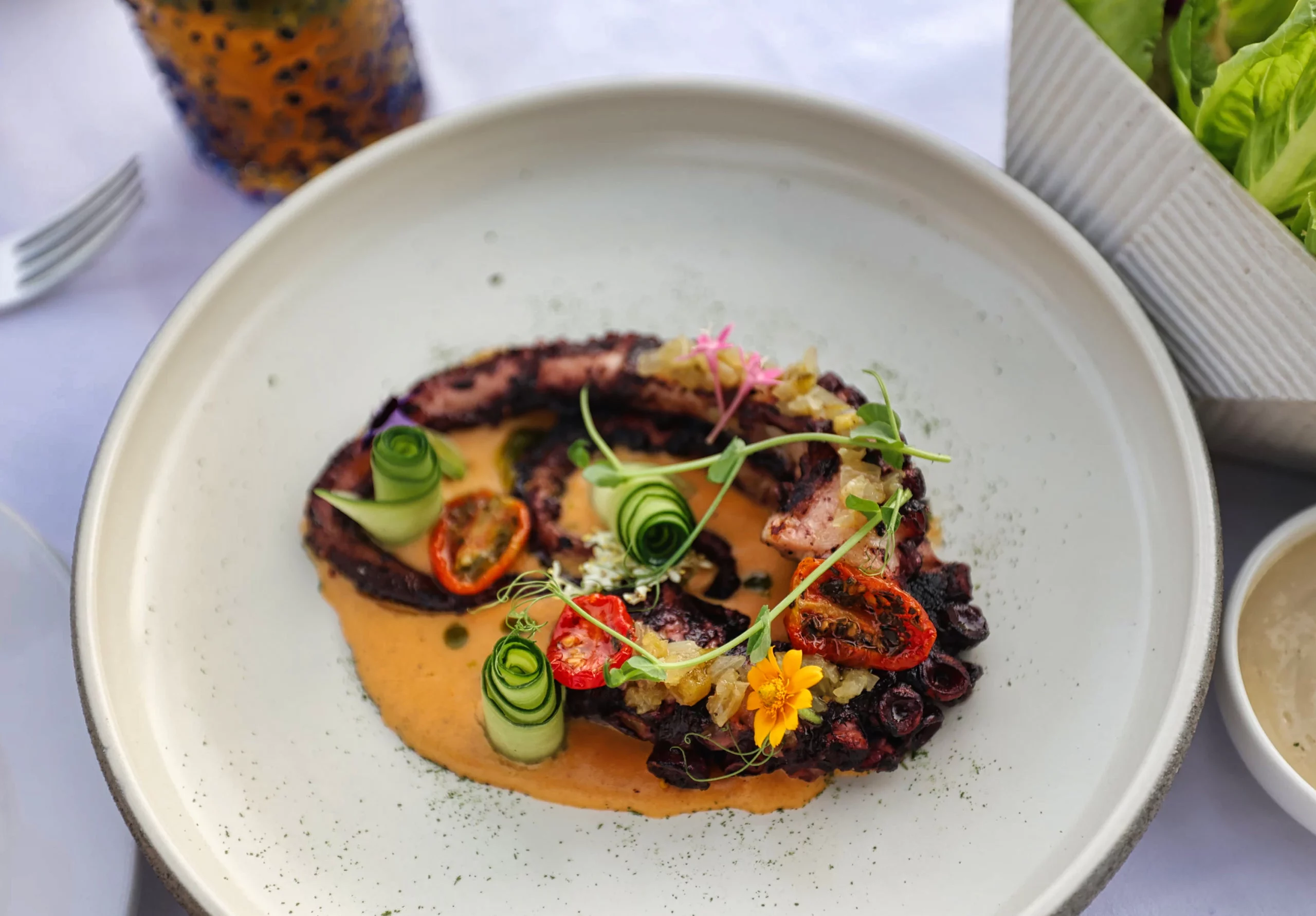 Grilled octopus appetizer with delicate presentation