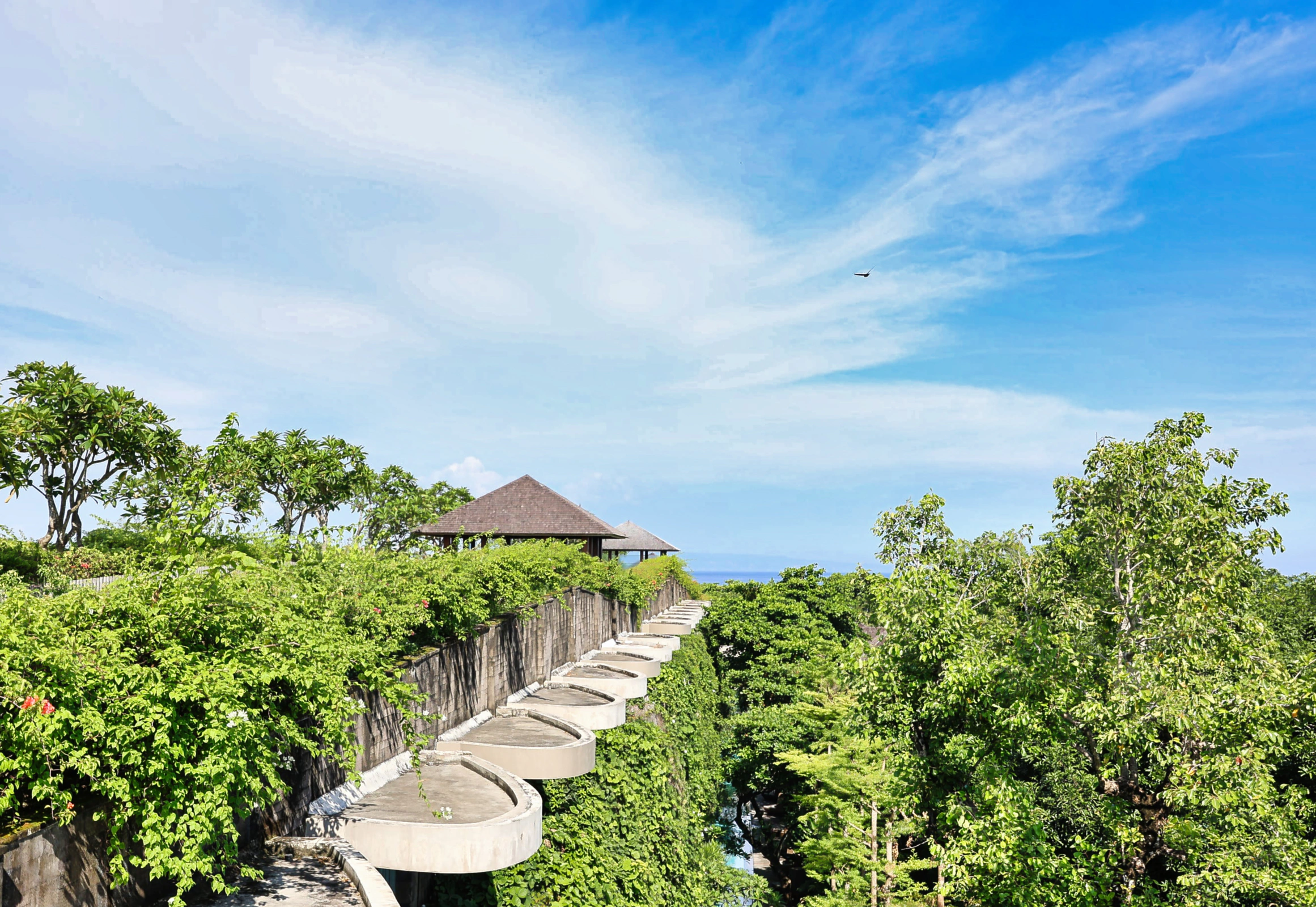 Green Roof 360 with ocean views