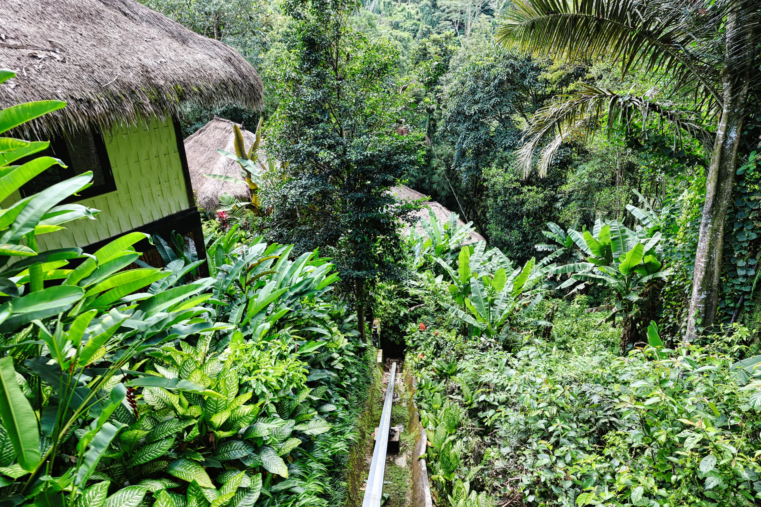 Taking cable car down to Ayung River