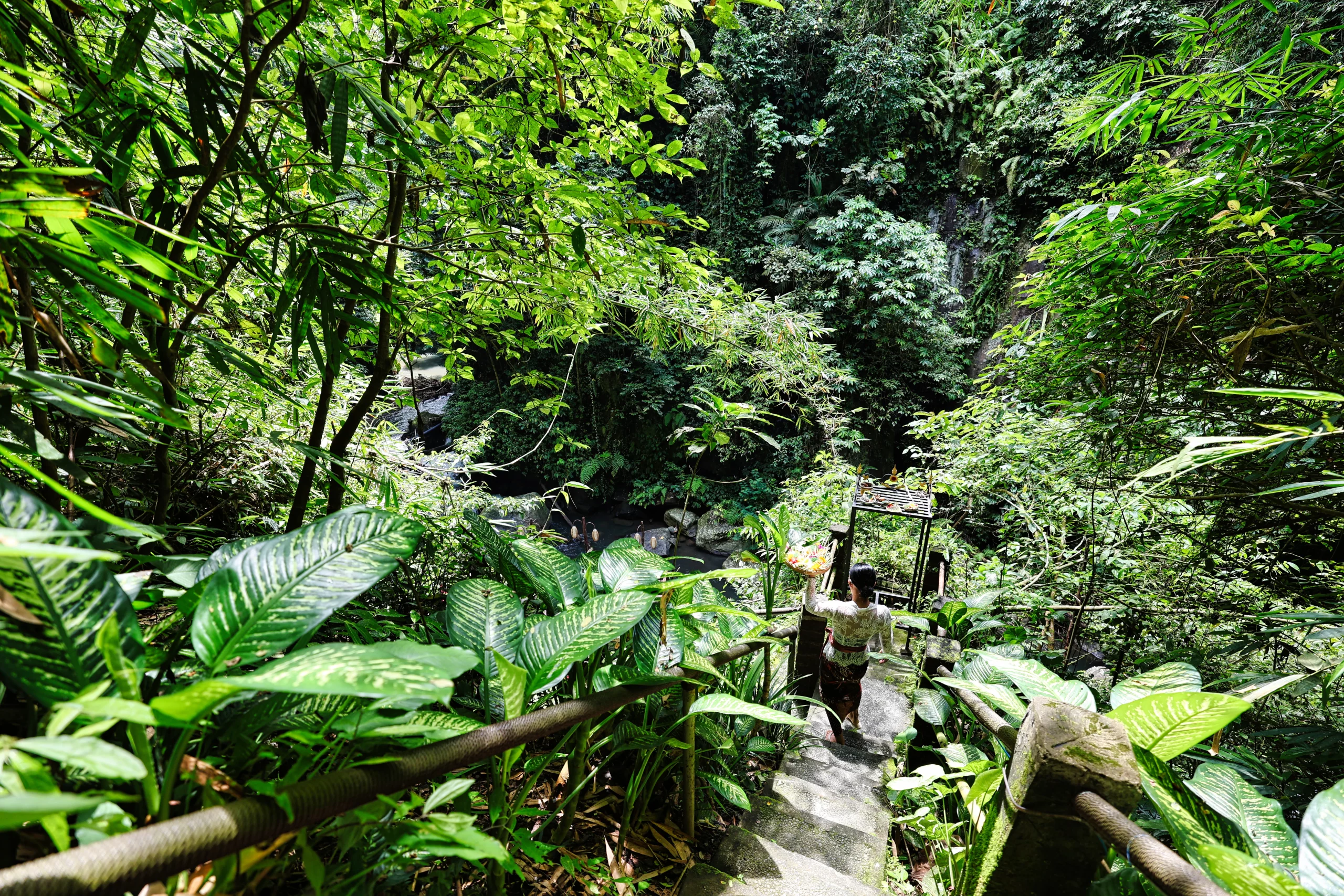 Scenic view at Ayung River blessing location