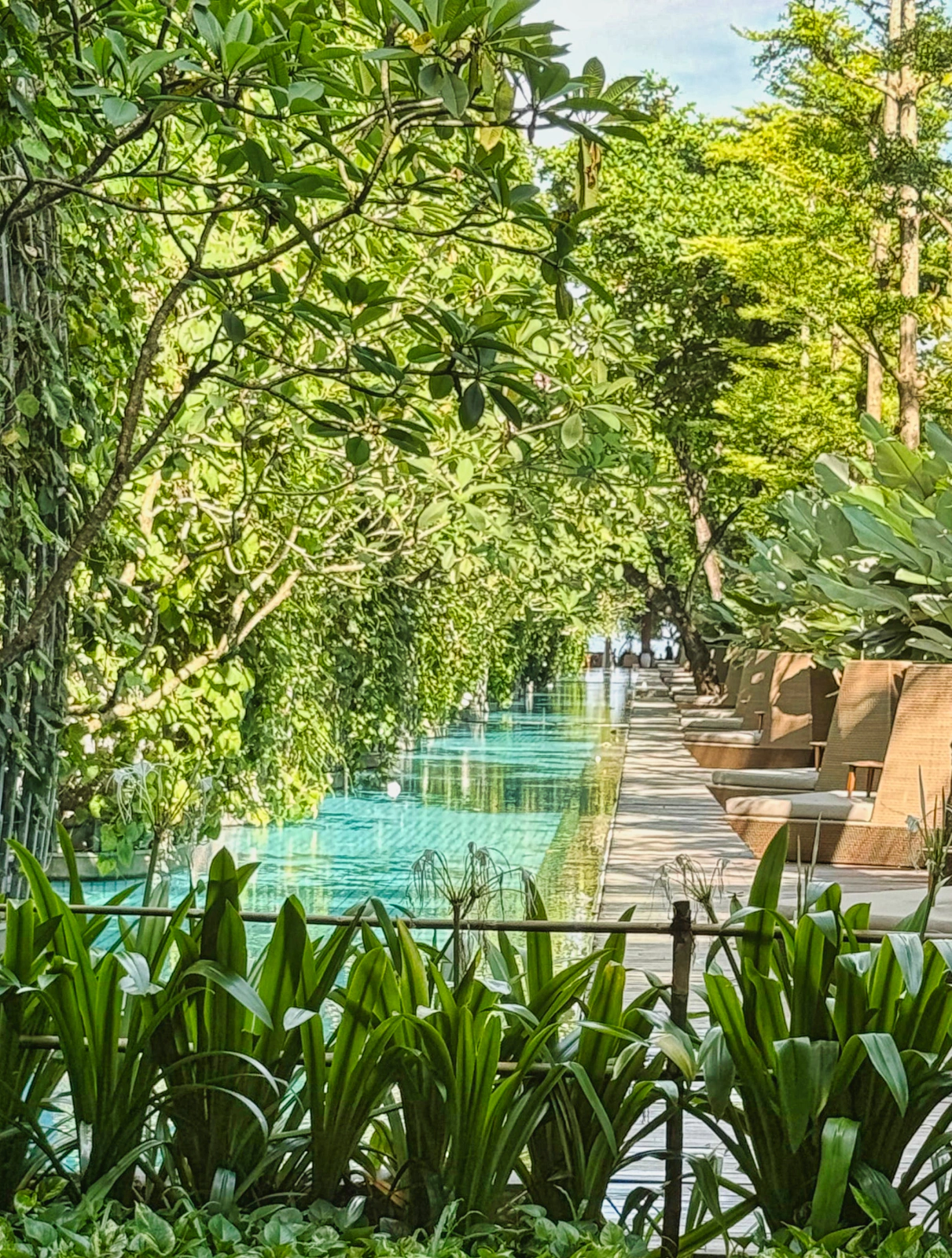 Resort landscaping with pool and beach access