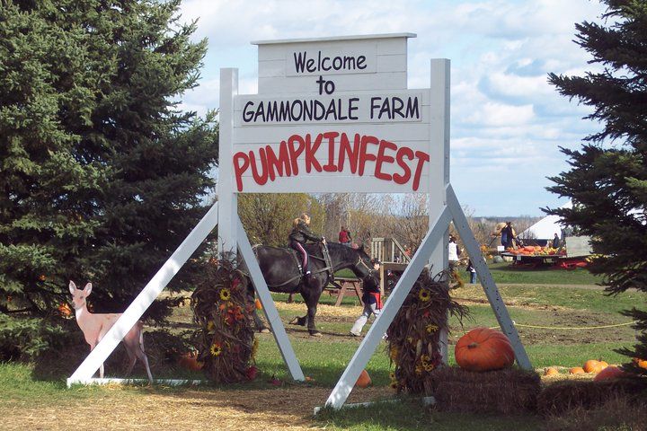 Gammondale Farm Pumpkin Fest