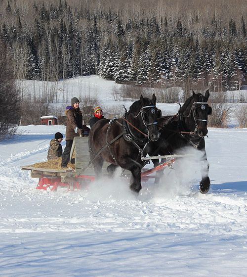 Image of Sleigh Rides