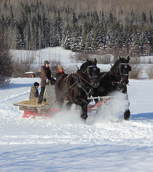 Sleigh Rides - Gammondale Farm