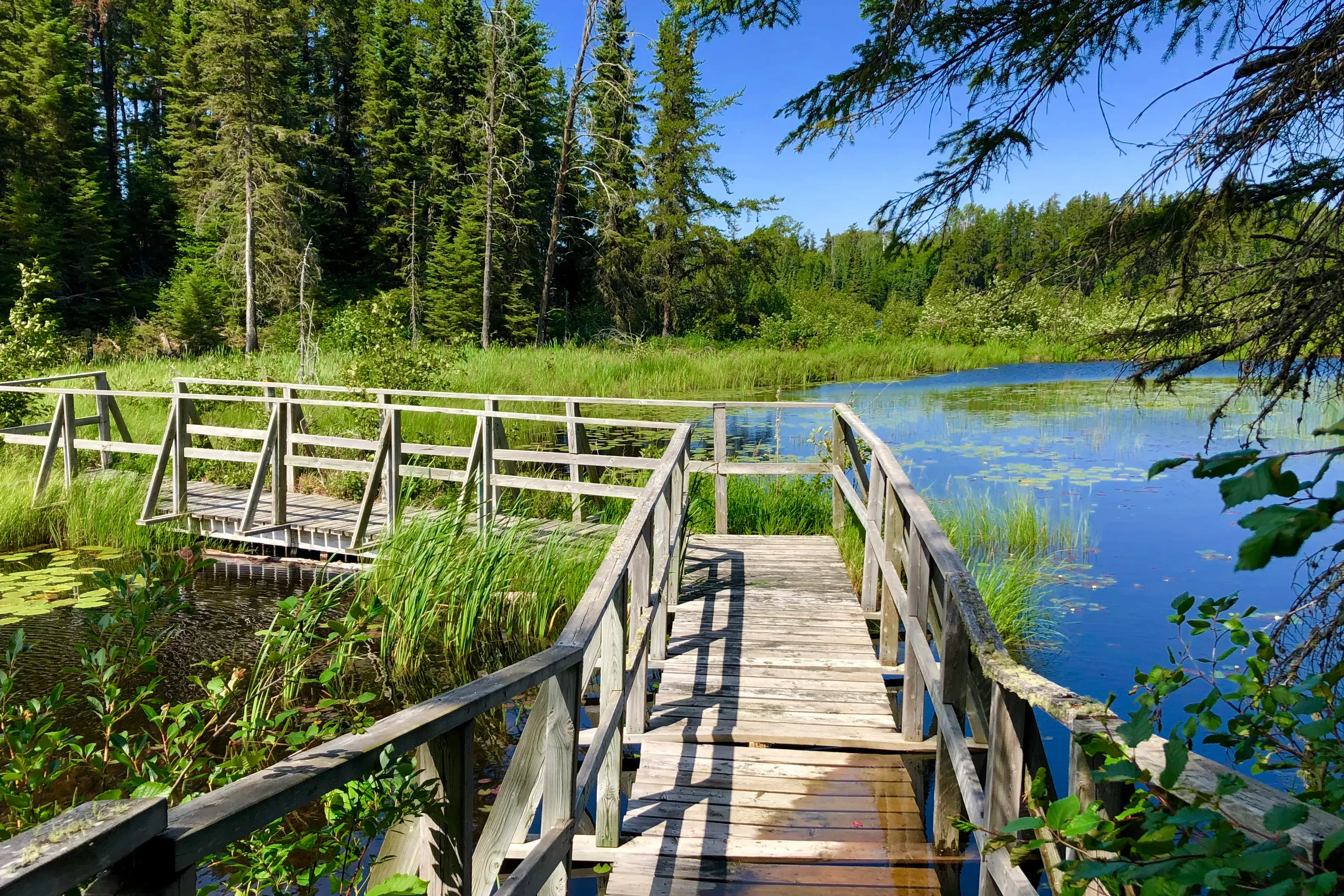 Image of White Lake Park