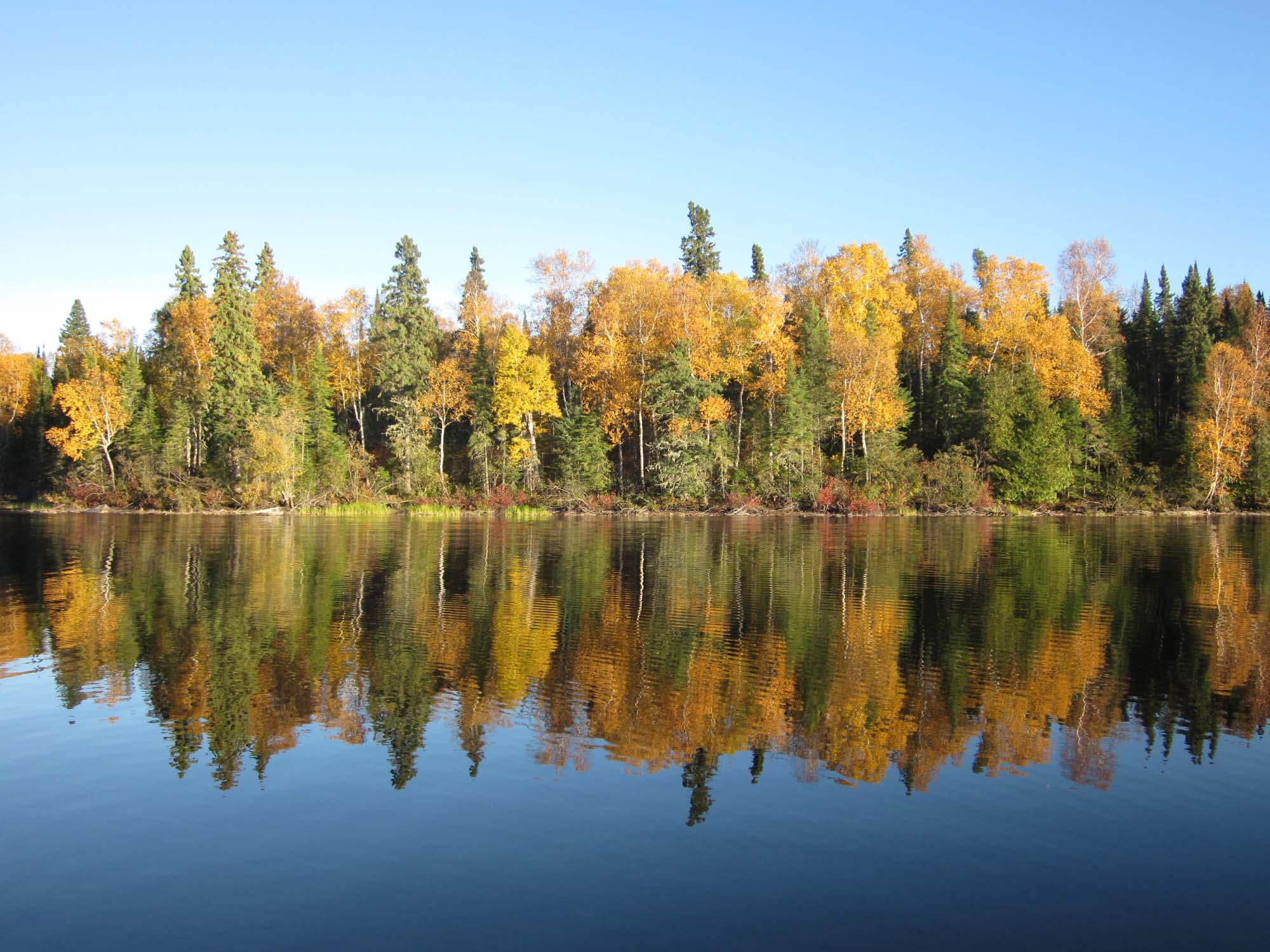 West Point Cove Camp