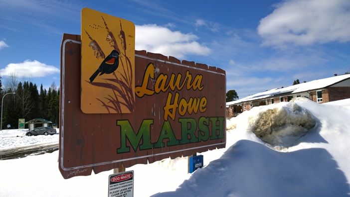 Laura Howe Marsh Trail