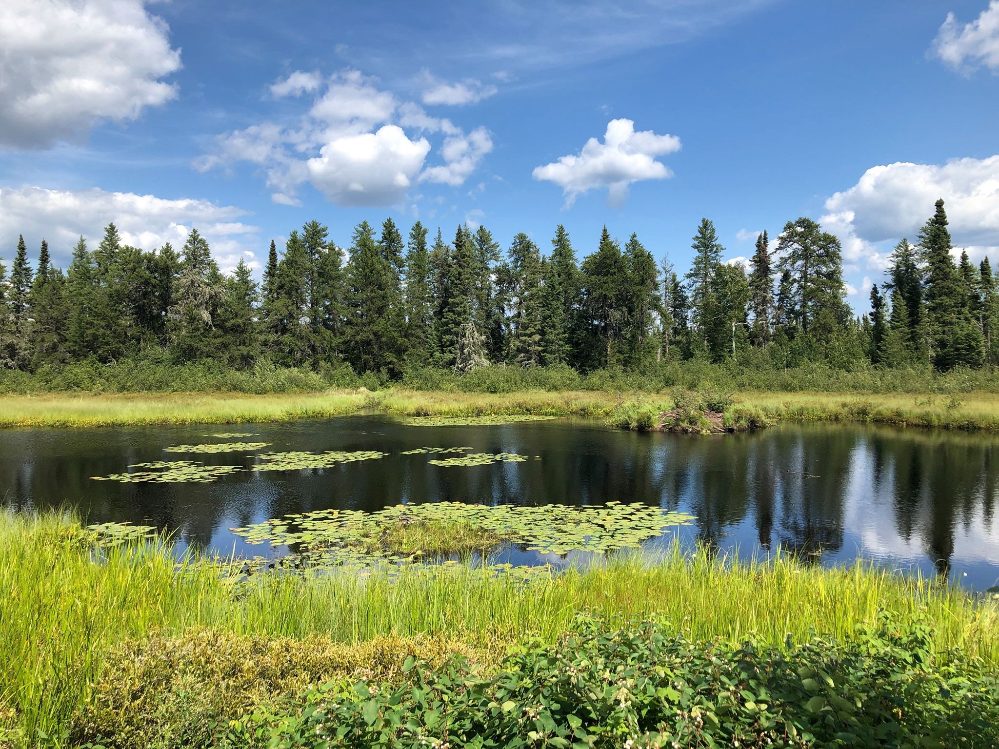 Pakwash Provincial Park