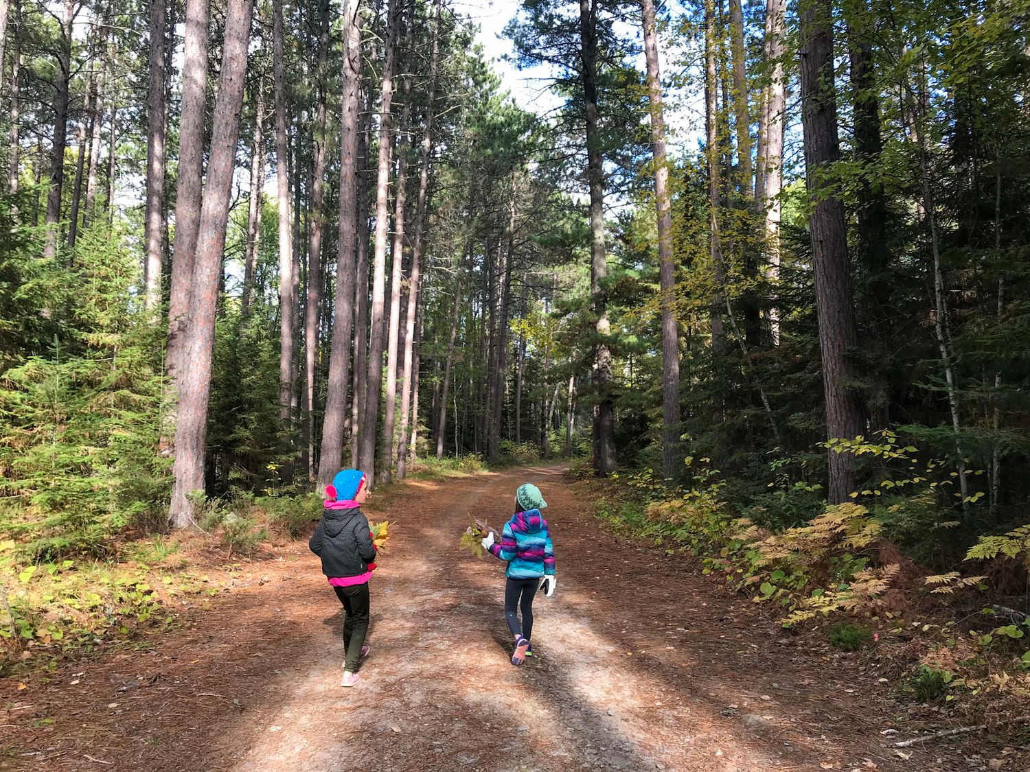 Image of Pakwash Nature Trail