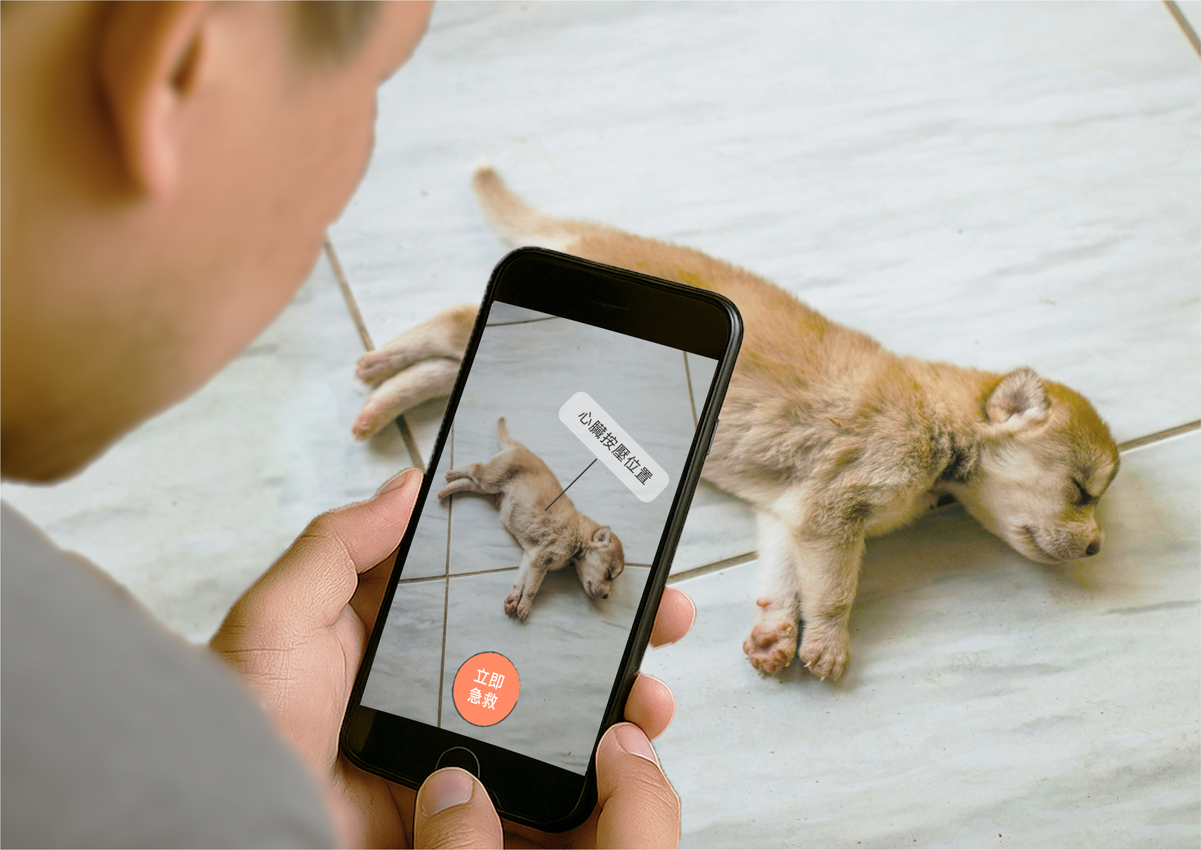 犬犬之心—寵物急救系統規劃與應用-2