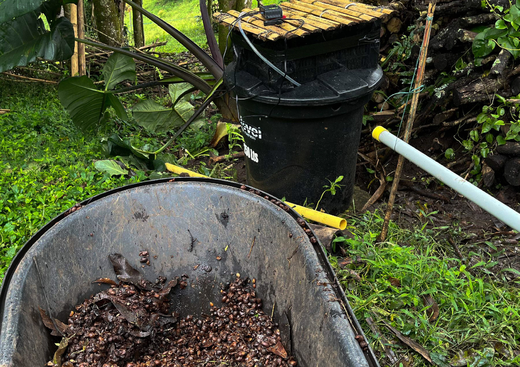 BioBrew: 咖啡農場廢水生態淨化系統-4