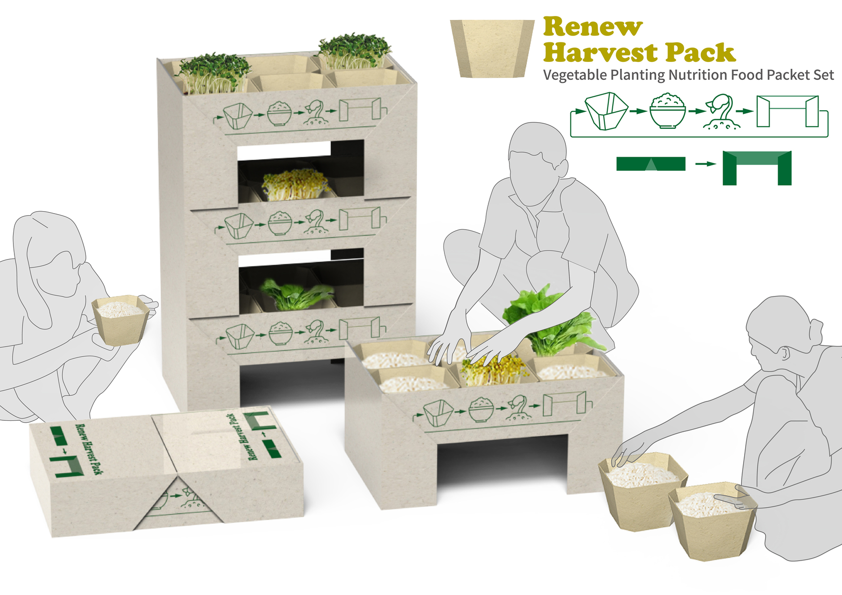 豆芽種植營養物資套組-1