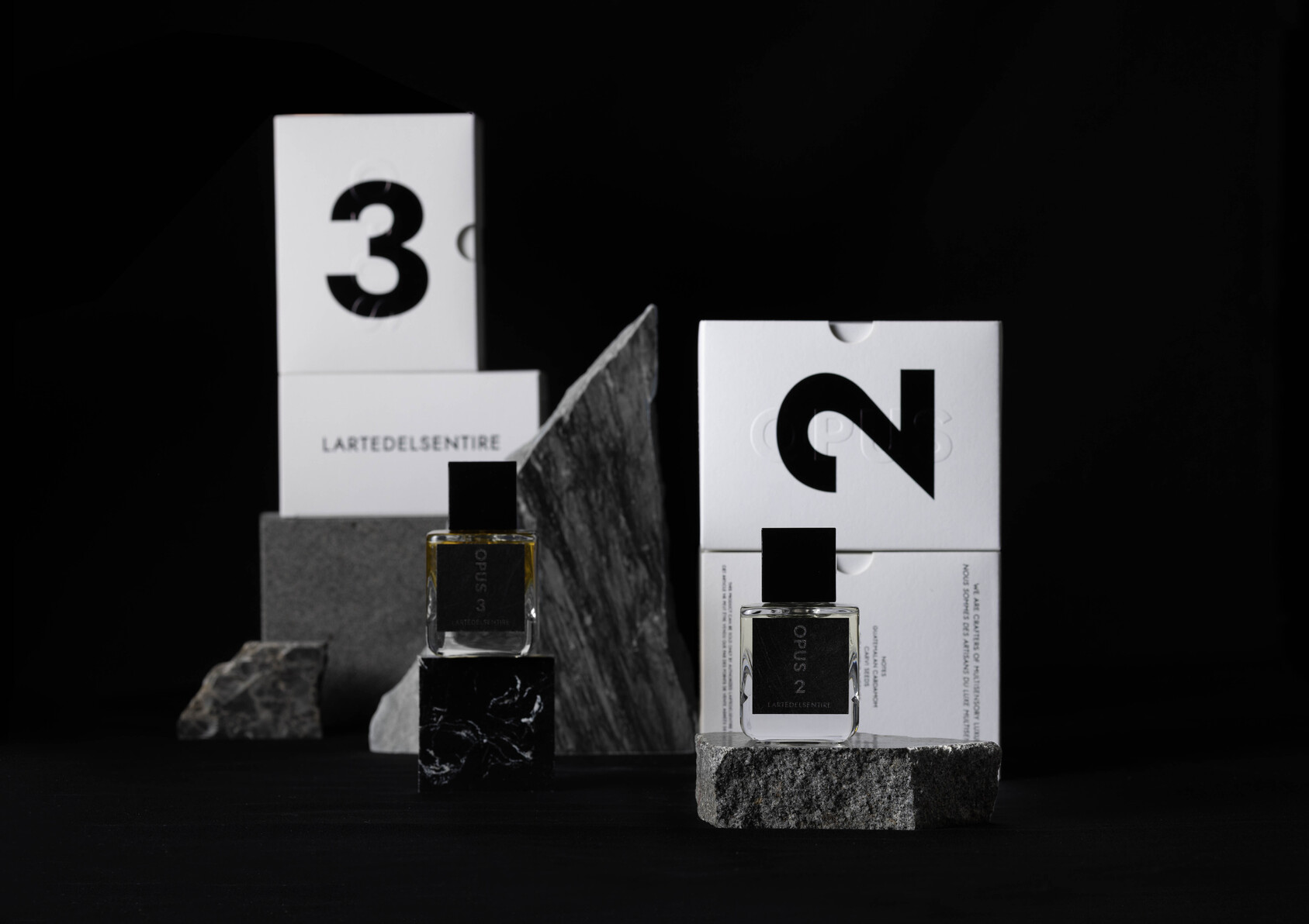 LARTEDELSENTIRE -2